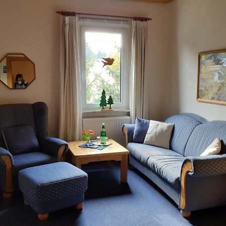 Villa Tannerhof Braunlage Zewnętrze zdjęcie