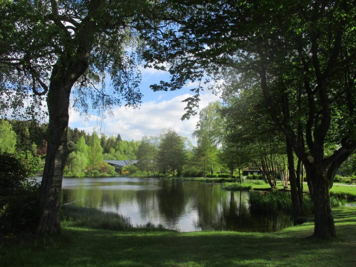 Villa Tannerhof Braunlage Zewnętrze zdjęcie