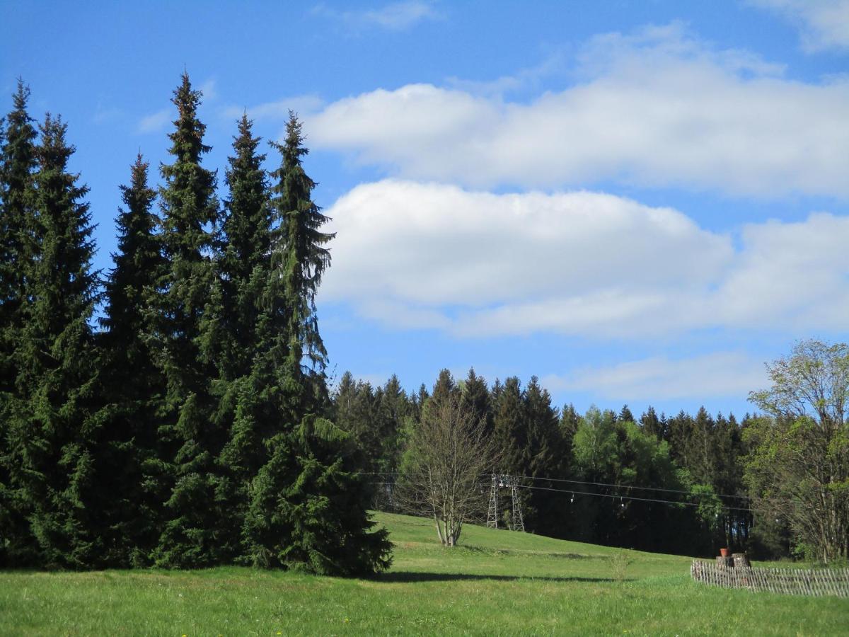 Villa Tannerhof Braunlage Zewnętrze zdjęcie