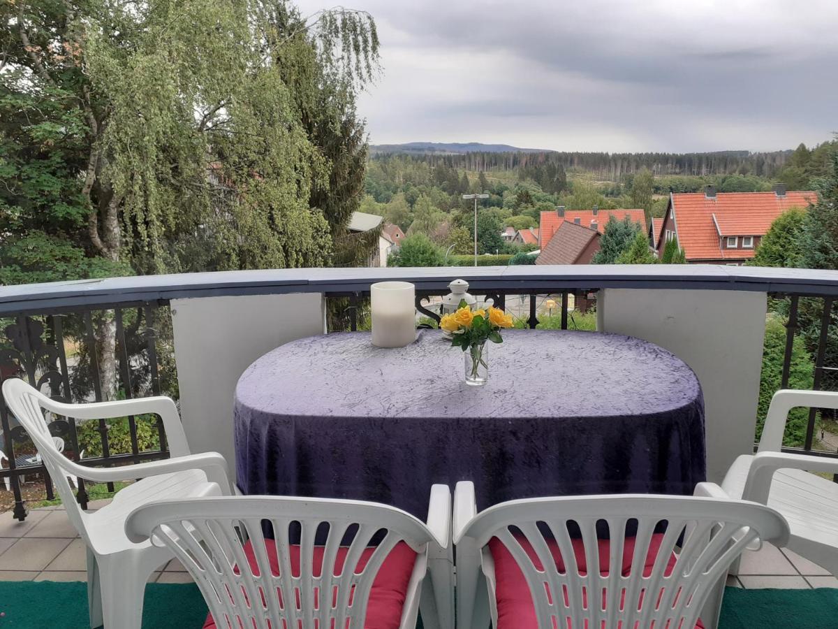 Villa Tannerhof Braunlage Zewnętrze zdjęcie