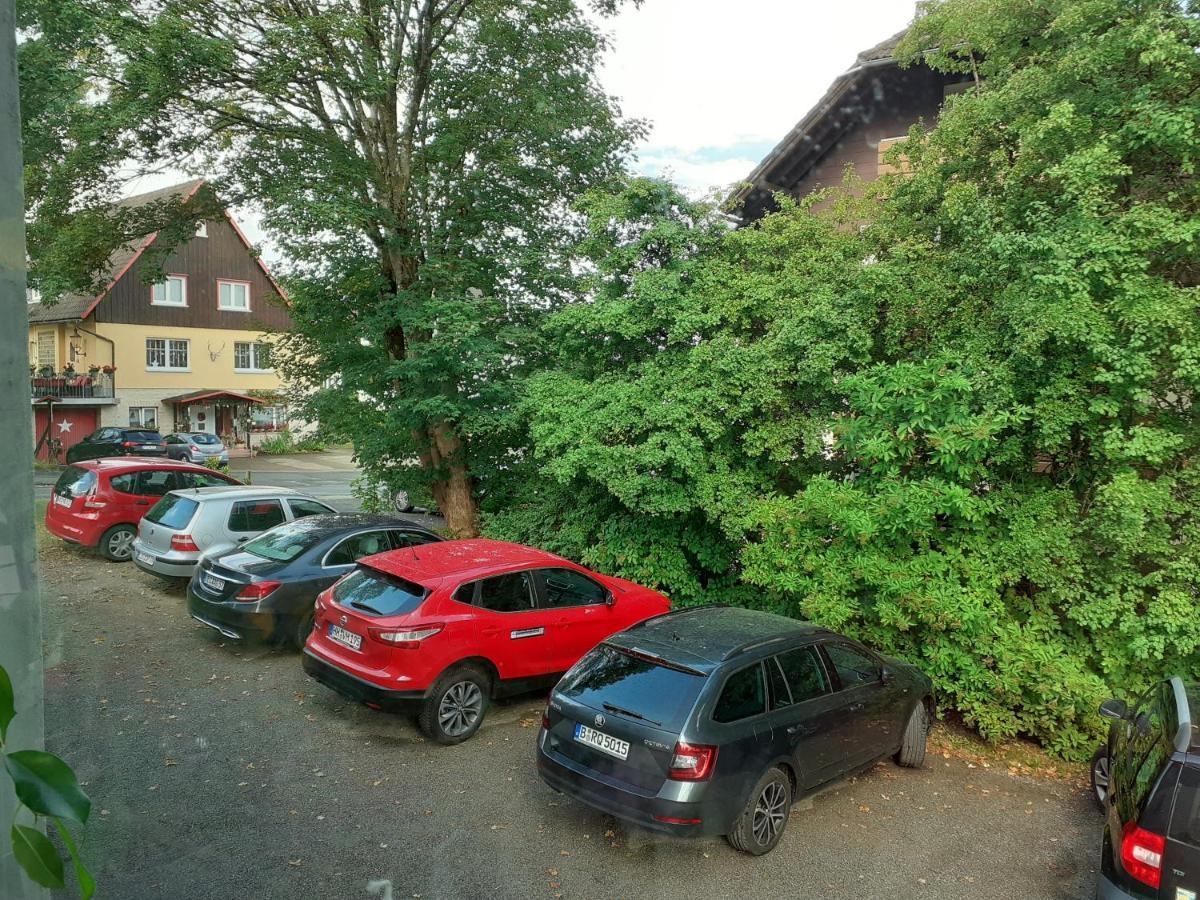Villa Tannerhof Braunlage Zewnętrze zdjęcie